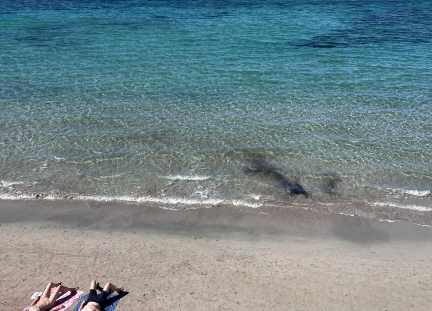 Apartament La Perla Del Mare Trapani